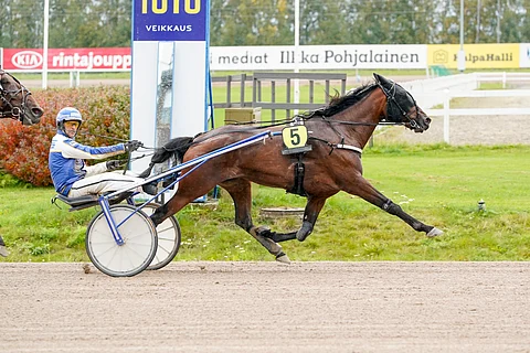 Chasing Highsin kanssa tähdätään nyt 5-vuotiaiden tammojen Kasvattajakruunuun.