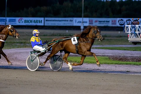 Kari Venäläisen mukaan ei helpommin voi voittaa kuin suomenhevosori Kiitävä Jokimaalla 22.9.2022.