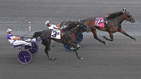 Joviality S voitti Delvin Miller Memorialin ennen Veneratea Meadowlandsissa heinäkuun puolivälissä. Kuva: HU arkisto