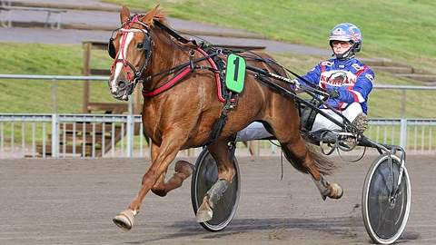 Ykkösnumerolla starttaava Aamun Kimallus on sekavaa tulosriviään paljon vaarallisempi.