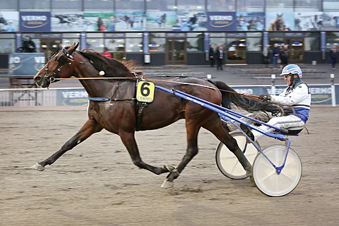 Arctic Crown on jo ehtinyt urallaan näyttää kyvykkyyttään.