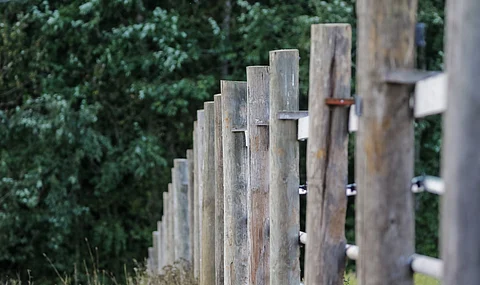 Tarhaamista ei tule tehdä liian vaikeaksi.