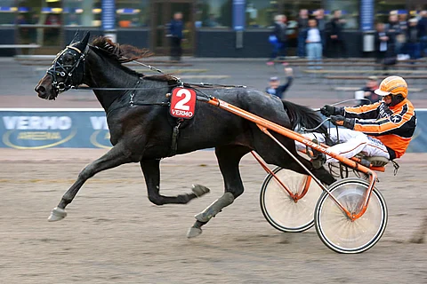 Kirikykyinen Sahara Commander on kakkossuosikkina kiinnostava tukipilari.