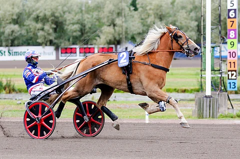 Villieläin otti Metsämäessä kauden toisen voittonsa.