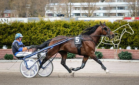 Chase on aina aiemmin kilpaillut Arto Laaksosen ajamana. Keskiviikon kisassa ohjat ottaa Jere Hurme.