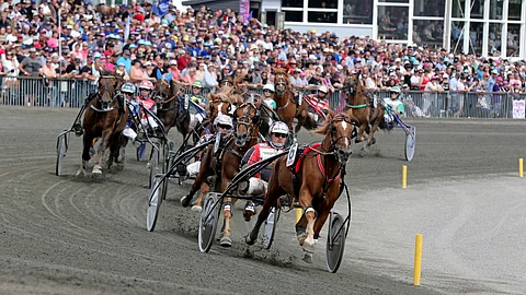 Yrjö Kettusen kovakuntoinen Välkyn Tuisku kilpailee sääntöjen mukaan viimeistä kauttaan.