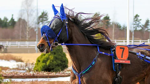 BWT Ellospank saa uuden kuskin Salamakypärien osalähdössä.