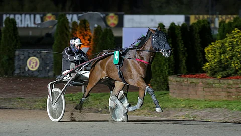 Brilliant Stride paranteli roimasti ennätystään lukemiin 14,3ake, kun se oli aiemmin 15,6ake.