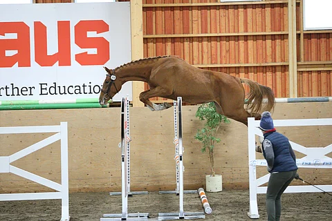 Parezzo L‘Camira ihastutti.