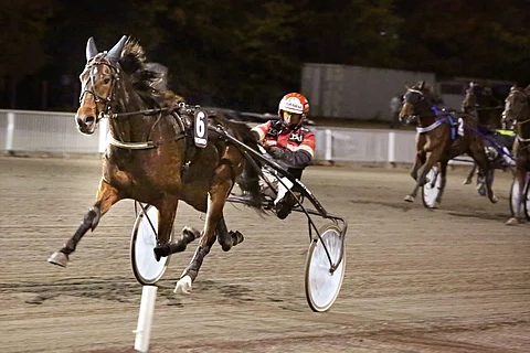 Stop The Press on startannut neljä kertaa ja voittanut niistä jokaisen.
