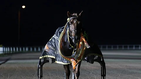 Evartti saapui Pohjoismaiden mestarina Turun voittajakehään.