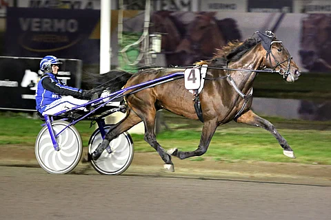 Henna Halmeen ohjastama Be The One on vihjeen toinen varma.