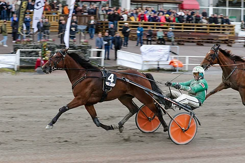 Astrum saa taakseen jälleen Ari Moilasen ja on tiistairivin tukipilari.