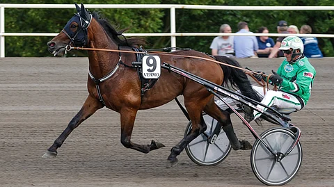 4-vuotias Time Match ei ole voittanut vielä tänä vuonna. Tilanne voisi korjaantua tällä ideavihjeen varmalla tänään T65-pelin viidennessä kohteessa.