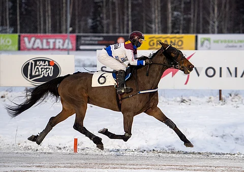 Nitro Diablo on voittanut muun muassa kahdesti montén Pohjoismaiden mestaruuden Janita Antti-Roikon ohjastamana.