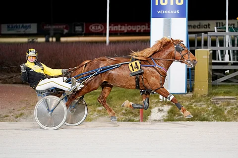 Rekilammen Sauli karautti murskavoittoon.