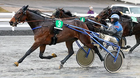 Enjoy's Leon on neljännen kohteen ideavarma.