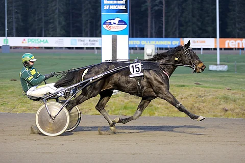 Royal Date kiri viimeksi piippuhyllyn paikalta kärkeen.