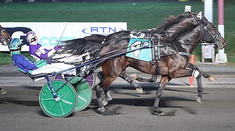 Volume Eight jyräsi vastustamattomasti ykköseksi lauantaina Meadowlandsissa. Kuva: