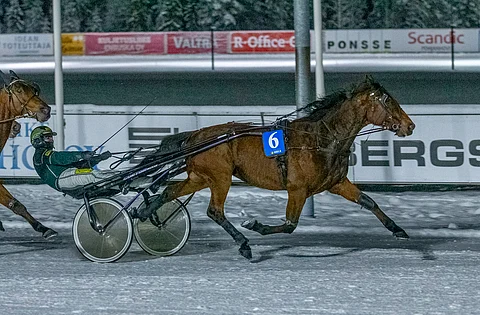 Ilos Silmarillion (nro 6) ja Ilos Sansibar (1) toivat kaksoisvoiton Veijo Kumpulaiselle.