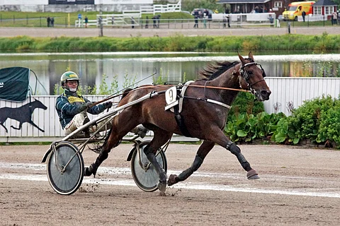 Xanthis Wapid ravasi tämän vuoden suurimman voiton heinäkuussa Killerillä.