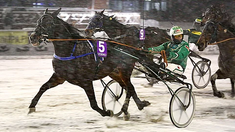 Viimeksi 7.12. keulasoololla voittanut Bolt Kronos on oiva valinta ideavihjeen varmaksi.