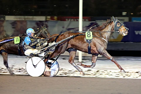 Hertus voitti viimeksi marraskuun lopussa Vermossa.