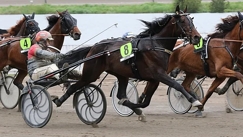 Might Be Romeo on päätöskohteen ideavarma.