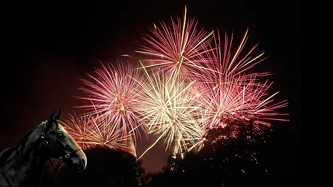 Ilotulitus ja hevonen eivät ole hyvä pari.