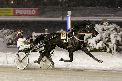 Janita Antti-Roikon virtaviivainen sankari Ashley Face.