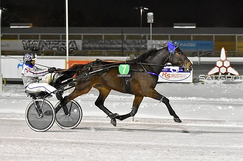 A Kind Of Magic S on voittanut uransa 18 startista yhdeksän.