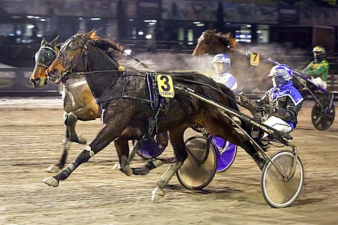 Viime starttinsa The Dude ja Ville Tonttilat voittivat keulapaikalta Vermossa. Maanantaina kaksikko hakee kolmatta peräkkäistä täysosumaansa.