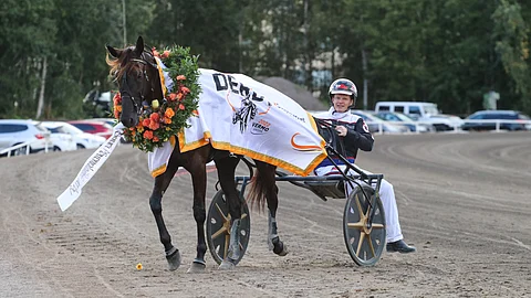 Kenneth Danielsenin tähtitamma voitti syksyllä Vermossa ajetun Derbyn.