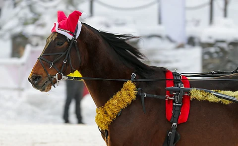 Jouluna Suomessa ei ravata, eikä posti kulje.