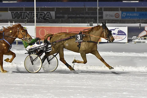 Mette-Marit jyräsi Toto75-sankariksi.