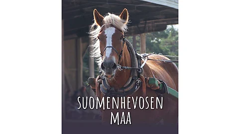 Suomenhevosen maa kirja kansi 16:9