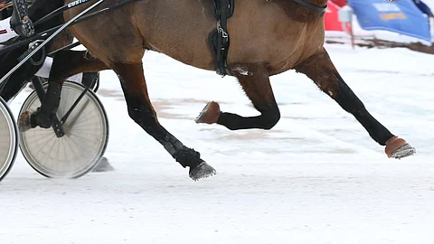 Porin rata puhutti 7.1. Kavioliiga-raveissa ja niiden jälkeen.
