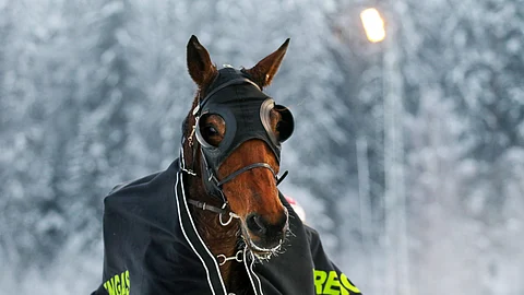 Hold Me Cloud räjäytti yllätykseen Toto75-pelin toisessa kohteessa.