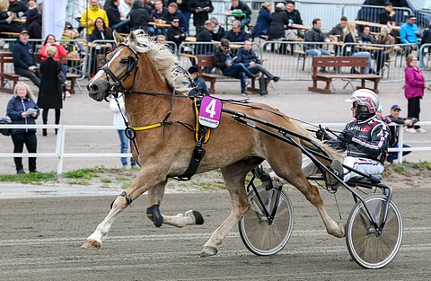 Elan hakee Vermossa paluuta voittokantaan.