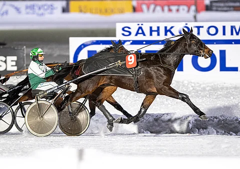 Consalvon pikkuveli Niky Boy otti uransa ensimmäisen voiton Kuopiossa. Janne Räisänen ohjasti.