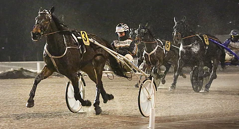 She's A Jedi jätti muut kirivaiheessa selvästi taakseen.