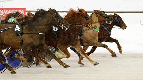 M.A. Piste (8) kurotti todella tasaisesta rintamasta lopulta parhaiten.