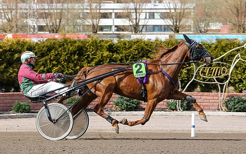 Mr Deauville on torstain ideavihjeen yksinäinen merkki. Kimmo Taipaleen valmennuksesta neljännen kerran kilpaileva ruuna saa taakseen Ari Moilasen. Arkistokuvassa ohjissa Veli-Pekka Toivanen.