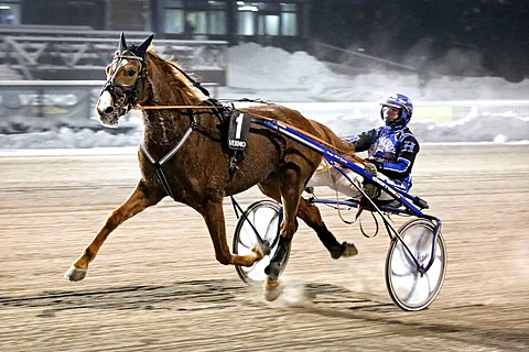 Space Oddity on voittanut urallaan jo 12 kertaa.