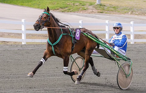 Esa Holopaisen ohjastama New Grove Waylon on ideavihjeen tukipilari. Valjakko lähtee päätöskohteessa sisimpää takarivistä.