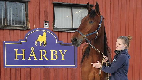 Veera Pasanen sai Mastroiannin passihevosekseen.