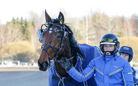 Henna Lehtomäen hoitama EL Indeed on valmis kohtaamaan entistä kovempia vastustajia.