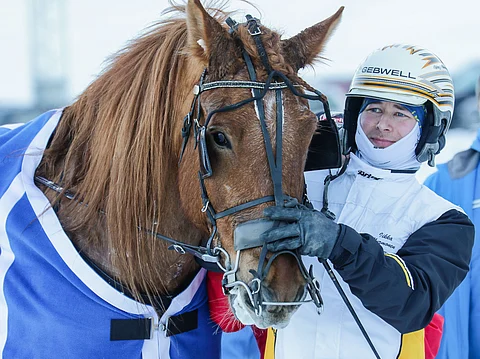 Siirin Veeti palaa Joensuun Linnunlahdelle tauolta.