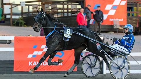 Sahara Playhardin voitto järkytti Toto5-pelaajia torstaina.