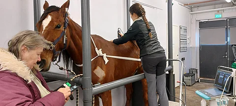 Kimpanvetäjä Aila-Maija Kunnari seurasi, kun eläintenhoitaja Eveliina Teivainen valmisteli Icecream Inin eläinlääkäri Leena Puupposen tutkimusta varten.